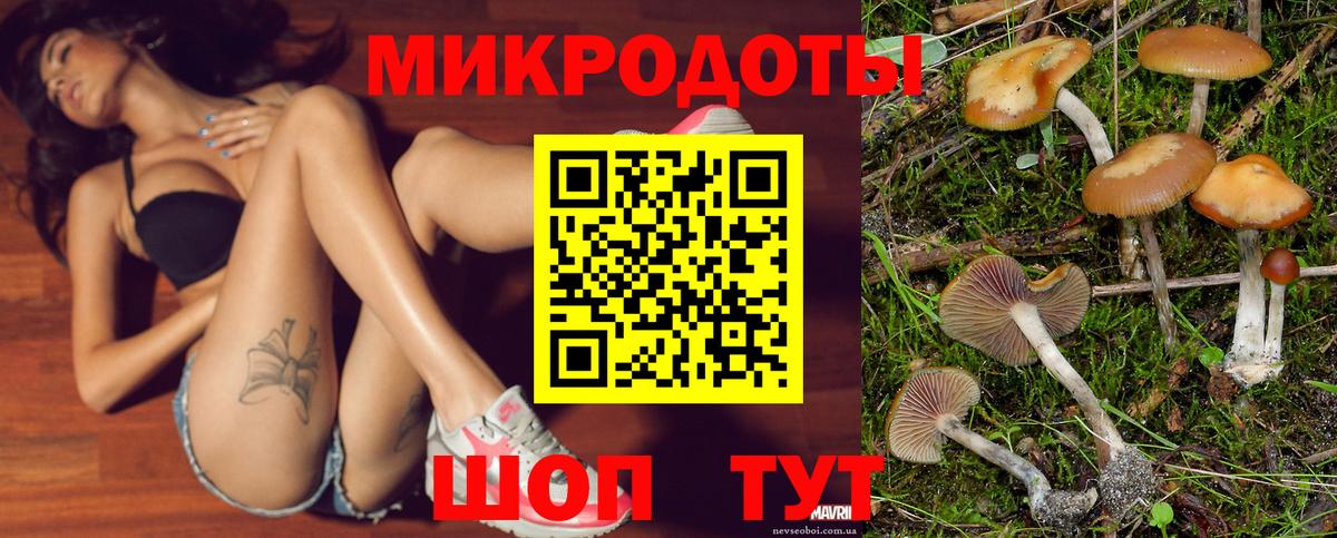 Псилоцибиновые грибы Psilocybine cubensis Астрахань